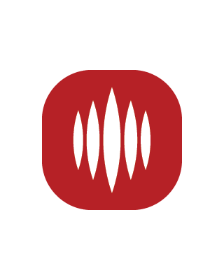 Icon Voice Networks Logo